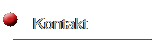 Kontakt